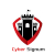 Cyber Signum Consulting